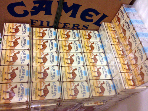 camel soft stocks.jpg